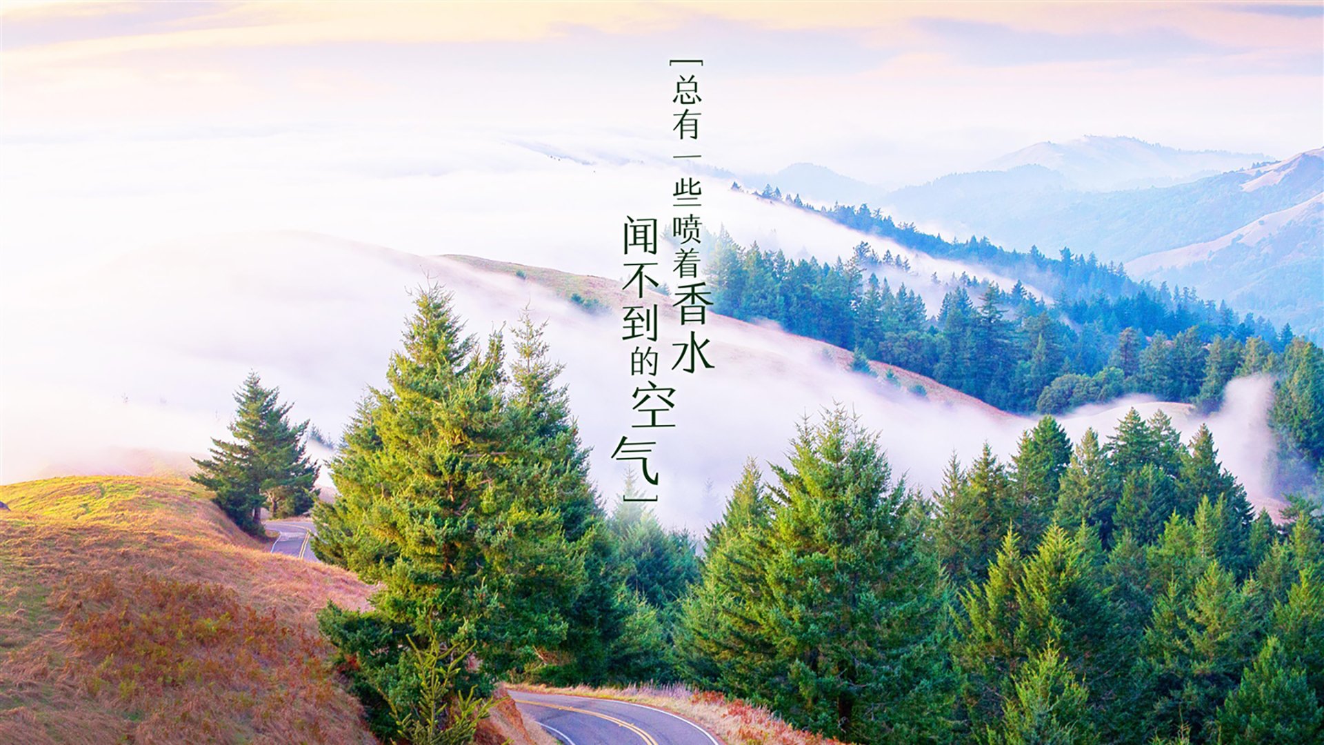 _快船双雄联手发威,横扫主场敌手_,快船队集锦